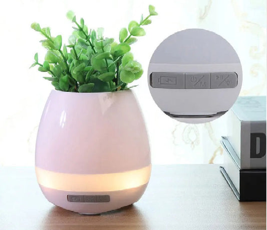 🌿 Smart Planting: The Future of Home Decor!